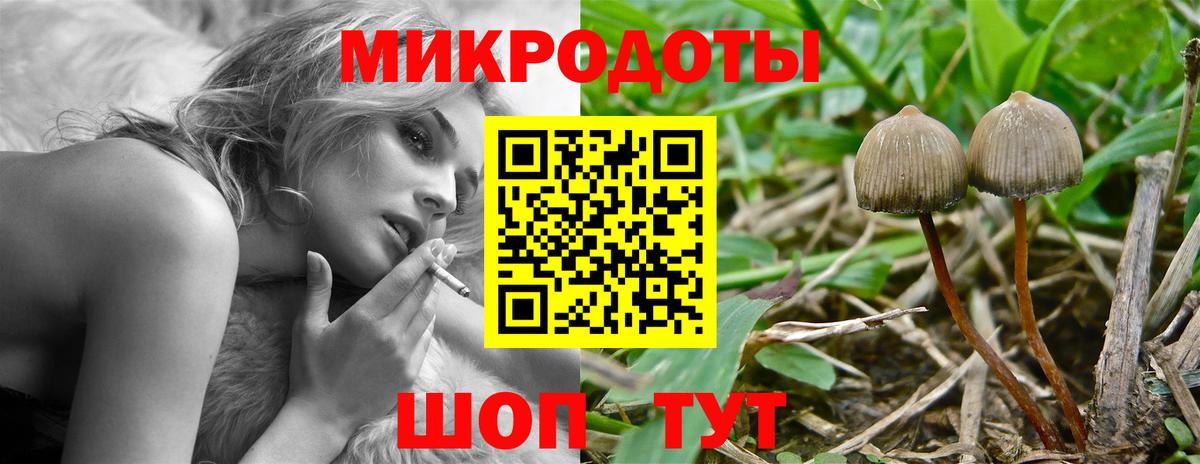 Псилоцибиновые грибы мицелий Канаш